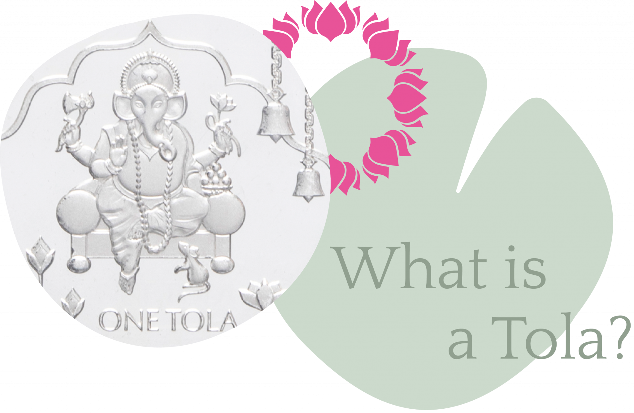 Kılavuz-Tola-Başlık