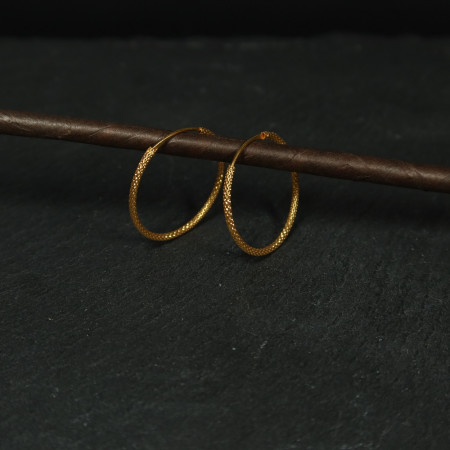 Yellow Gold Hoop Earrings
