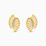 Markiz Yelpaze Çıtçıtlar Markiz Yelpaze Çıtçıtlar