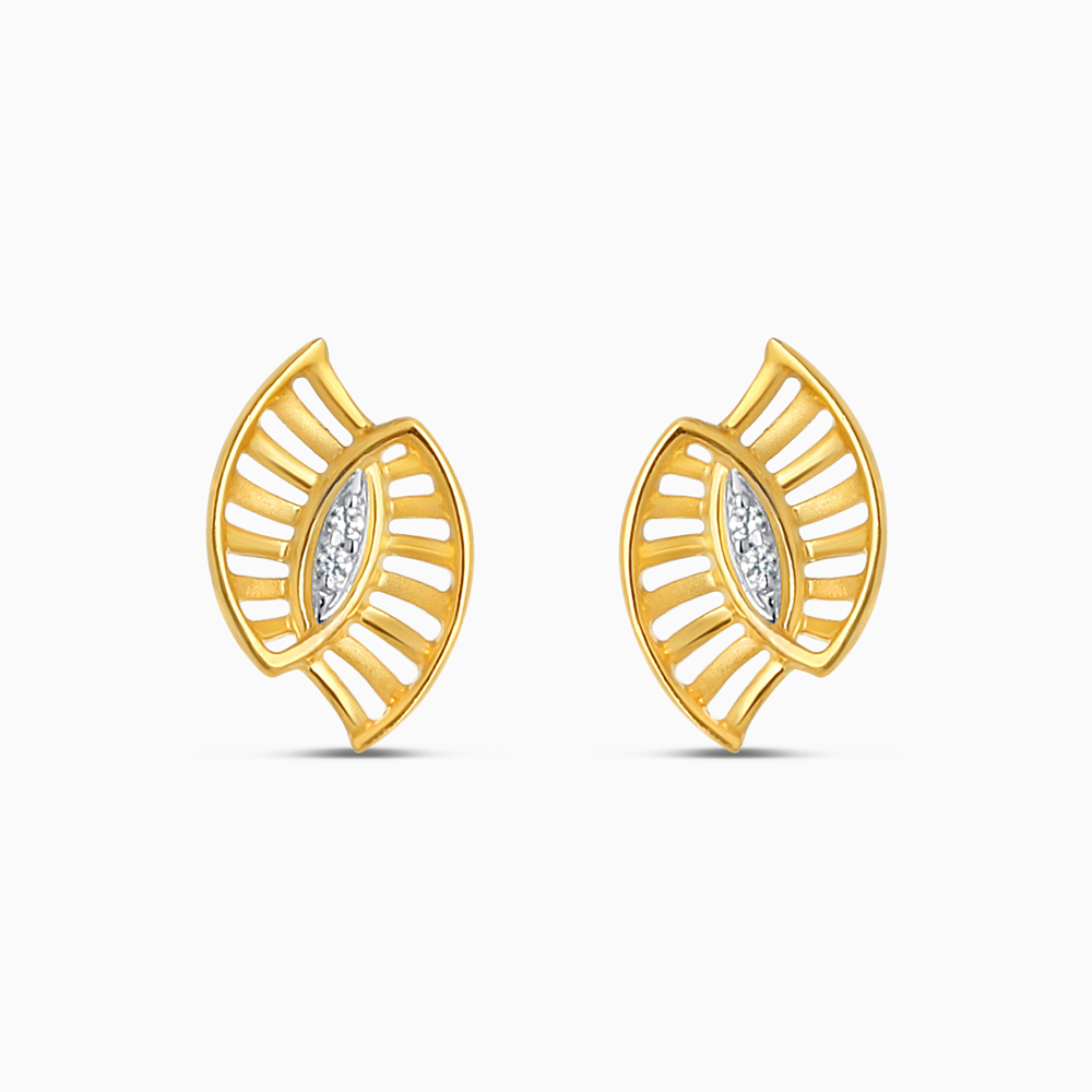 Markiz Yelpaze Çıtçıtlar Markiz Yelpaze Çıtçıtlar