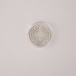 عملة لاكشمي جانيش الفضية - 20 جم، إصدار ملون نابض بالحياة عملة لاكشمي جانيش الفضية - 20 جم، إصدار ملون نابض بالحياة