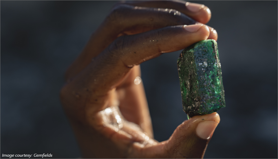 جيم فيلدز_من_إلى_السوق