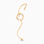 خطاف أذن ليليباد خطاف أذن ليليباد