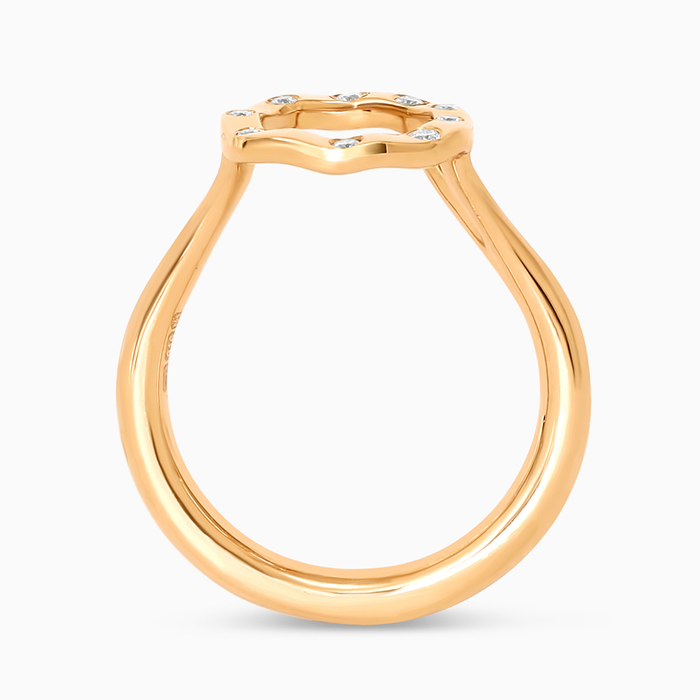 خاتم سترة ليليباد خاتم سترة ليليباد